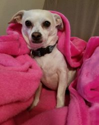 Charlie 11292025140748