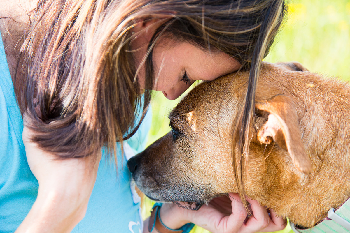 Hospice and Palliative Care for Pets: Compassionate Care Focused on Quality of Life