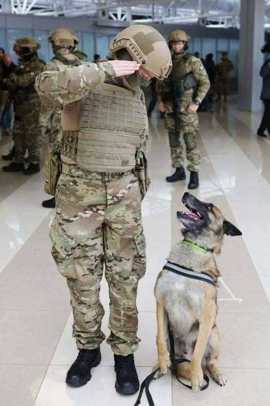 Vet saluting his dog